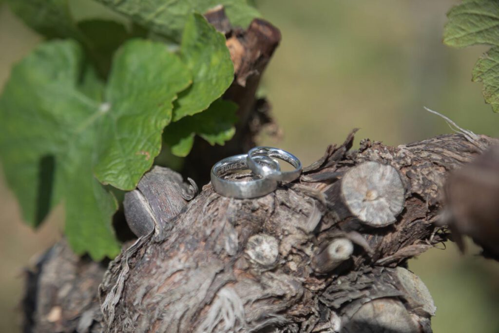 Trauringe fotografiert in einem Meißner Winzerhof - Hochzeitslocation Meißen